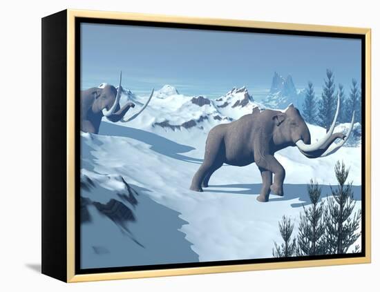 Two Large Mammoths Walking Slowly on the Snowy Mountain-null-Framed Stretched Canvas