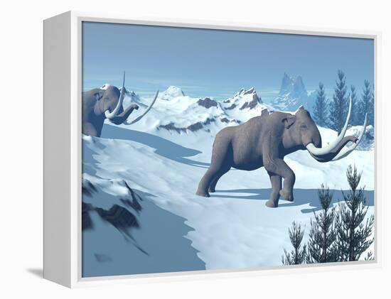 Two Large Mammoths Walking Slowly on the Snowy Mountain-null-Framed Stretched Canvas