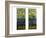 Two Leaded and Plated Glass Windows, circa 1910-Tiffany Studios-Framed Giclee Print