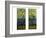 Two Leaded and Plated Glass Windows, circa 1910-Tiffany Studios-Framed Giclee Print