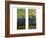 Two Leaded and Plated Glass Windows, circa 1910-Tiffany Studios-Framed Giclee Print