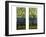 Two Leaded and Plated Glass Windows, circa 1910-Tiffany Studios-Framed Giclee Print