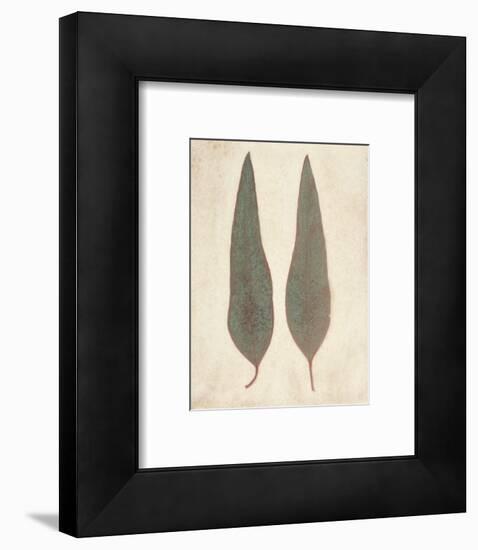 Two Leaves-Amy Melious-Framed Art Print