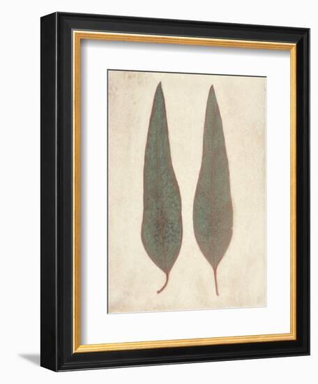 Two Leaves-Amy Melious-Framed Art Print