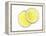 Two Lemon Slices in Water with Air Bubbles-Kröger & Gross-Framed Premier Image Canvas