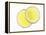 Two Lemon Slices in Water with Air Bubbles-Kröger & Gross-Framed Premier Image Canvas