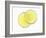 Two Lemon Slices in Water with Air Bubbles-Kröger & Gross-Framed Photographic Print