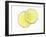 Two Lemon Slices in Water with Air Bubbles-Kröger & Gross-Framed Photographic Print