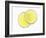 Two Lemon Slices in Water with Air Bubbles-Kröger & Gross-Framed Photographic Print