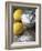 Two Lemons and Flour-Michael Paul-Framed Photographic Print