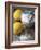 Two Lemons and Flour-Michael Paul-Framed Photographic Print