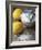 Two Lemons and Flour-Michael Paul-Framed Photographic Print