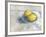 Two Lemons in a Dish-Steven Johnson-Framed Art Print