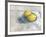 Two Lemons in a Dish-Steven Johnson-Framed Art Print