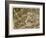 Two Leopards in the Wild-Wilhelm Kuhnert-Framed Art Print