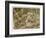 Two Leopards in the Wild-Wilhelm Kuhnert-Framed Art Print