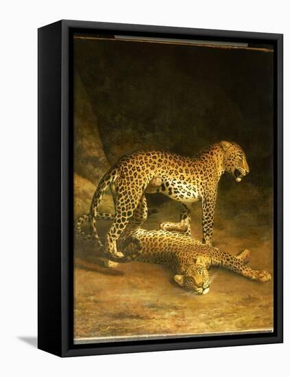 Two Leopards Lying in the Exeter Exchange, 1808-Jacques-Laurent Agasse-Framed Premier Image Canvas
