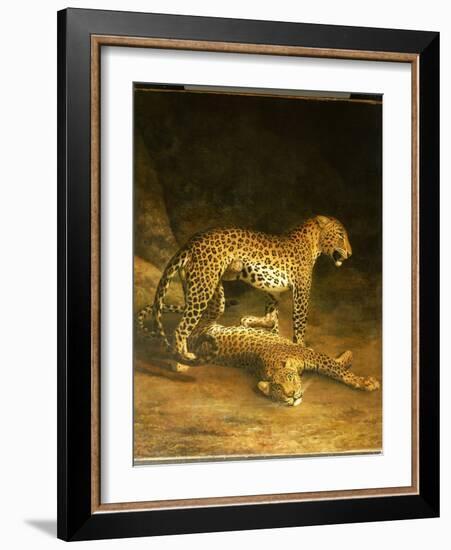 Two Leopards Lying in the Exeter Exchange, 1808-Jacques-Laurent Agasse-Framed Giclee Print