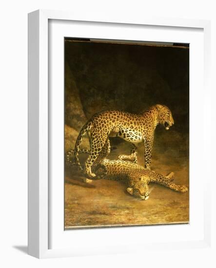 Two Leopards Lying in the Exeter Exchange, 1808-Jacques-Laurent Agasse-Framed Giclee Print