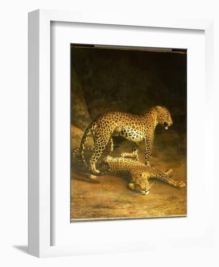 Two Leopards Lying in the Exeter Exchange, 1808-Jacques-Laurent Agasse-Framed Giclee Print