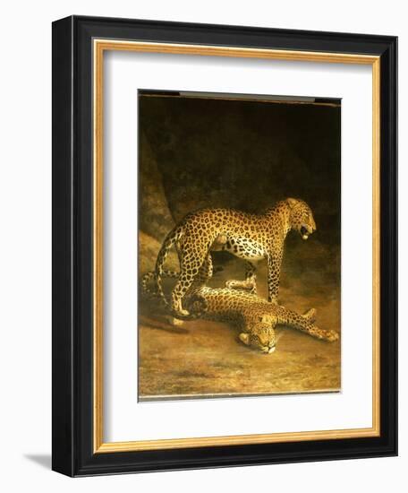 Two Leopards Lying in the Exeter Exchange, 1808-Jacques-Laurent Agasse-Framed Giclee Print