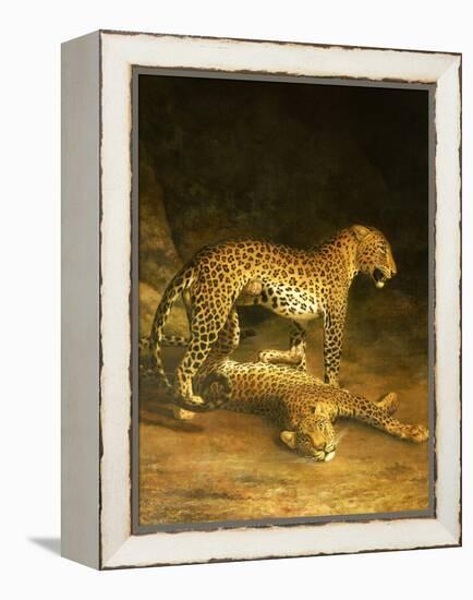 Two Leopards Lying in the Exeter Exchange, 1808-Jacques-Laurent Agasse-Framed Premier Image Canvas