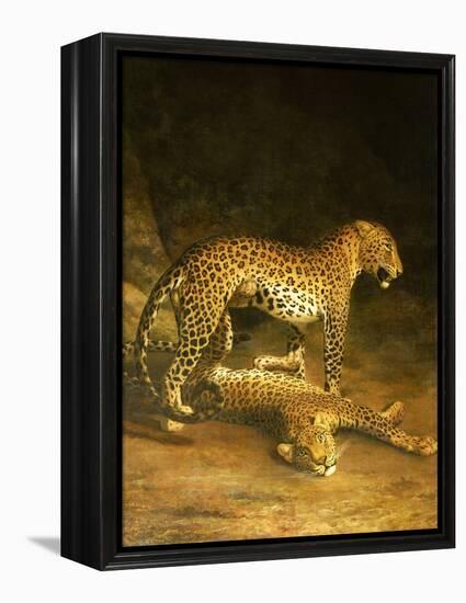 Two Leopards Lying in the Exeter Exchange, 1808-Jacques-Laurent Agasse-Framed Premier Image Canvas