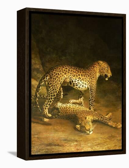Two Leopards Lying in the Exeter Exchange, 1808-Jacques-Laurent Agasse-Framed Premier Image Canvas