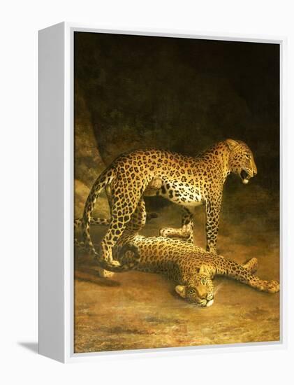 Two Leopards Lying in the Exeter Exchange, 1808-Jacques-Laurent Agasse-Framed Premier Image Canvas