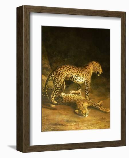 Two Leopards Lying in the Exeter Exchange, 1808-Jacques-Laurent Agasse-Framed Giclee Print