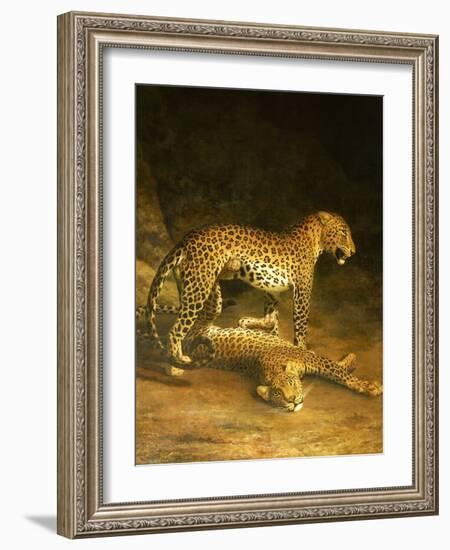 Two Leopards Lying in the Exeter Exchange, 1808-Jacques-Laurent Agasse-Framed Giclee Print