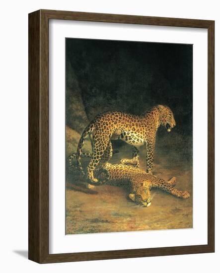Two Leopards Playing-Jacques Laurent-Framed Art Print