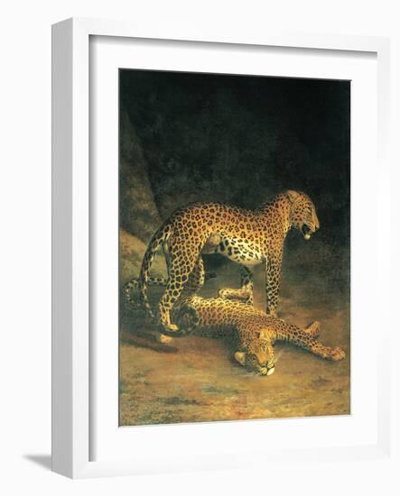 Two Leopards Playing-Jacques Laurent-Framed Art Print