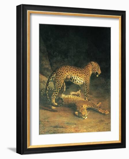 Two Leopards Playing-Jacques Laurent-Framed Art Print