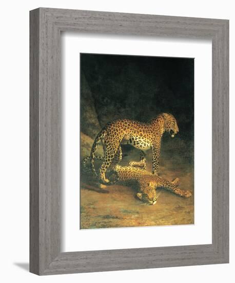 Two Leopards Playing-Jacques Laurent-Framed Art Print