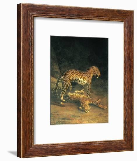 Two Leopards Playing-Jacques Laurent-Framed Art Print