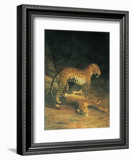 Two Leopards Playing-Jacques Laurent-Framed Art Print