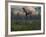 Two Lesothosaurus Dinosaurs Run Out of the Way of a T-Rex on a Rampage-Stocktrek Images-Framed Photographic Print