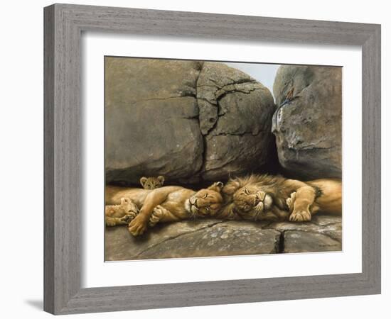 Two Lions Head to Head-Harro Maass-Framed Giclee Print