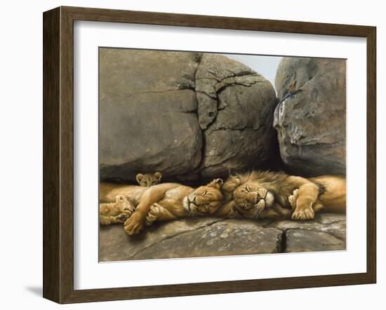 Two Lions Head to Head-Harro Maass-Framed Giclee Print