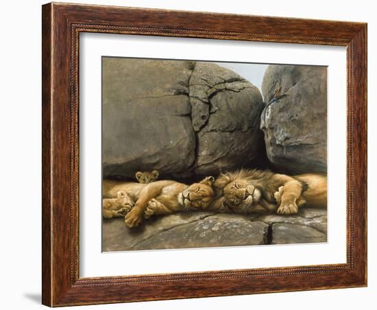 Two Lions Head to Head-Harro Maass-Framed Giclee Print