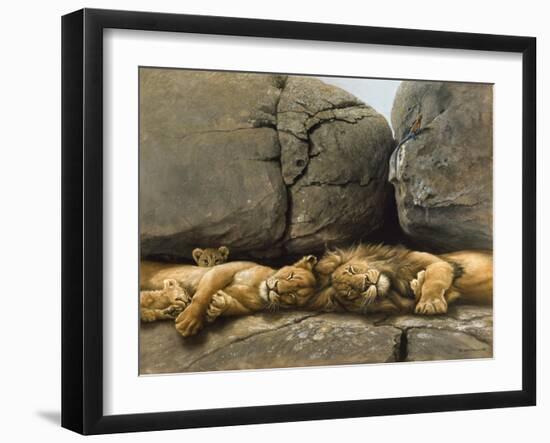 Two Lions Head to Head-Harro Maass-Framed Giclee Print