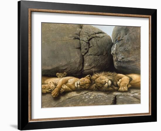 Two Lions Head to Head-Harro Maass-Framed Giclee Print