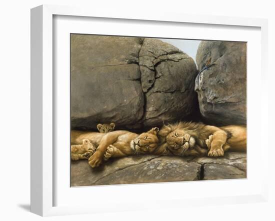Two Lions Head to Head-Harro Maass-Framed Giclee Print