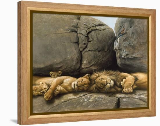 Two Lions Head to Head-Harro Maass-Framed Premier Image Canvas