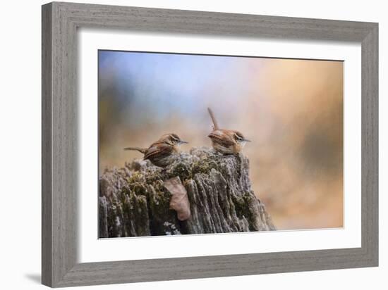 Two Little Wrens-Jai Johnson-Framed Giclee Print