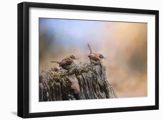 Two Little Wrens-Jai Johnson-Framed Giclee Print