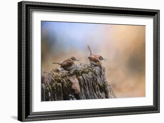 Two Little Wrens-Jai Johnson-Framed Giclee Print