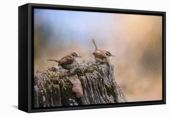 Two Little Wrens-Jai Johnson-Framed Premier Image Canvas