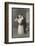 Two Lovers Embrace and Kiss-null-Framed Photographic Print